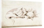 Two cats by Giovanni Battista Tiepolo