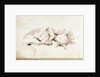 Two cats by Giovanni Battista Tiepolo