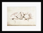 Two cats by Giovanni Battista Tiepolo