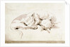 Two cats by Giovanni Battista Tiepolo