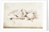 Two cats by Giovanni Battista Tiepolo