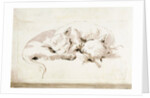 Two cats by Giovanni Battista Tiepolo