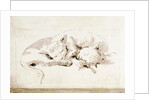 Two cats by Giovanni Battista Tiepolo