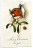 Christmas Card by Anonymous