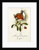 Christmas Card by Anonymous