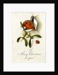 Christmas Card by Anonymous