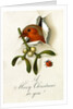 Christmas Card by Anonymous