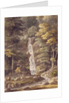 Cascade at Hestercombe by Coplestone Warre Bampfylde