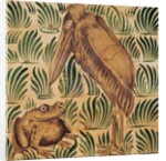 Stork and Frog by Unknown