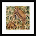 Stork and Frog by Unknown