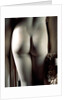 The Three Graces, back view, detail of centre figure's bottom by Antonio Canova