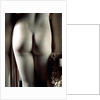 The Three Graces, back view, detail of centre figure's bottom by Antonio Canova