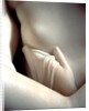 The Three Graces by Antonio Canova