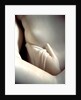 The Three Graces by Antonio Canova