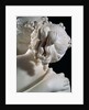 The Three Graces by Antonio Canova