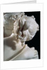 The Three Graces by Antonio Canova