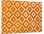 Phulkari Embroidery. Punjab, India, 19th century by Unknown