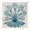 Daisy tile. England, 1864 by William Morris
