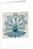 Daisy tile. England, 1864 by William Morris