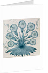 Daisy tile. England, 1864 by William Morris
