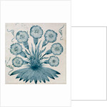 Daisy tile. England, 1864 by William Morris