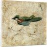 Bird on a branch. Pozzuoli, Italy, 2nd century by Unknown