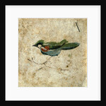 Bird on a branch. Pozzuoli, Italy, 2nd century by Unknown
