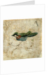 Bird on a branch. Pozzuoli, Italy, 2nd century by Unknown