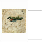 Bird on a branch. Pozzuoli, Italy, 2nd century by Unknown
