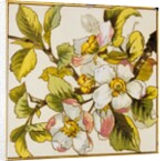 Wild Dog-Roses Tile by Doulton & Co.