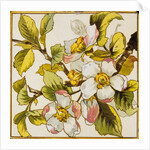 Wild Dog-Roses Tile by Doulton & Co.