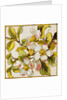 Wild Dog-Roses Tile by Doulton & Co.