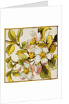 Wild Dog-Roses Tile by Doulton & Co.