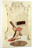 Sketch depicting North American Indian artefacts, Charles Hamilton Smith. England, 19th century by Charles Hamilton Smith