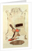 Sketch depicting North American Indian artefacts, Charles Hamilton Smith. England, 19th century by Charles Hamilton Smith