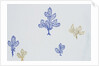 Japanese sliding door paper by Unknown