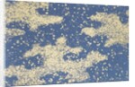 Japanese sliding door paper by Unknown