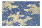 Japanese sliding door paper by Unknown