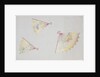 Japanese sliding door paper by Unknown