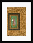 Murtaza Khan by Manohar