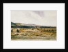 Harvest Field by Peter De Wint