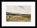 Harvest Field by Peter De Wint