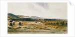 Harvest Field by Peter De Wint