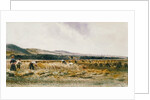 Harvest Field by Peter De Wint