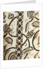 Lady's Jacket, detail. Linen embroidered with silk. England, early 17th century by Anonymous
