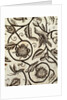 Lady's Jacket, detail. England, 1620s by Anonymous