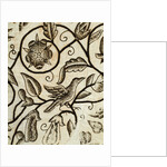 Lady's Jacket, detail. England, early 17th century by Anonymous