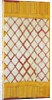 Woman's shawl. Punjab, Pakistan, early 20th century by Unknown
