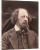Alfred Lord Tennyson by Julia Margaret Cameron