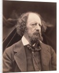 Alfred Lord Tennyson by Julia Margaret Cameron
